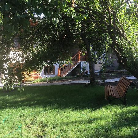 Guest House Kartuli Suli Telavi Exteriör bild