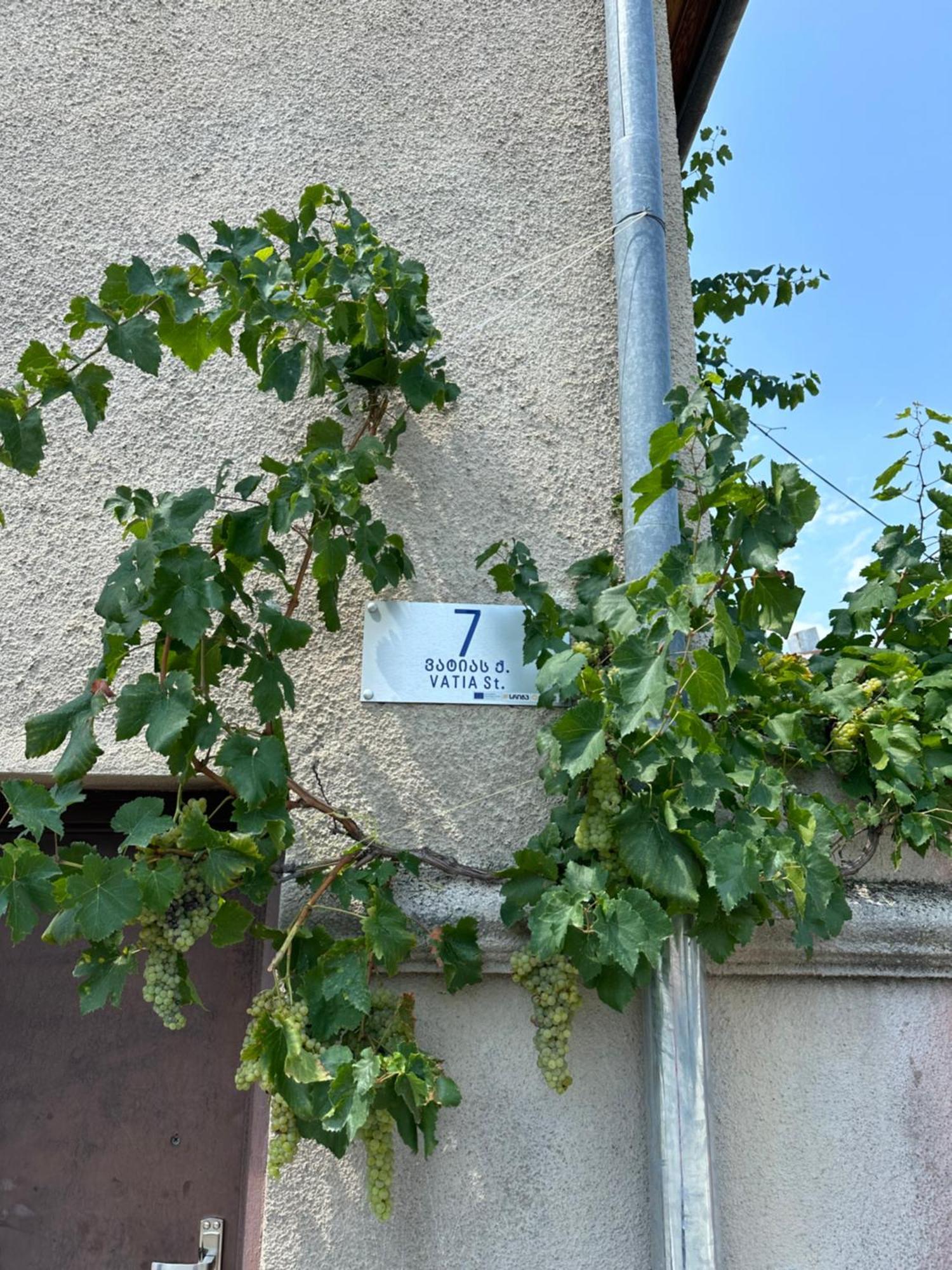 Guest House Kartuli Suli Telavi Exteriör bild