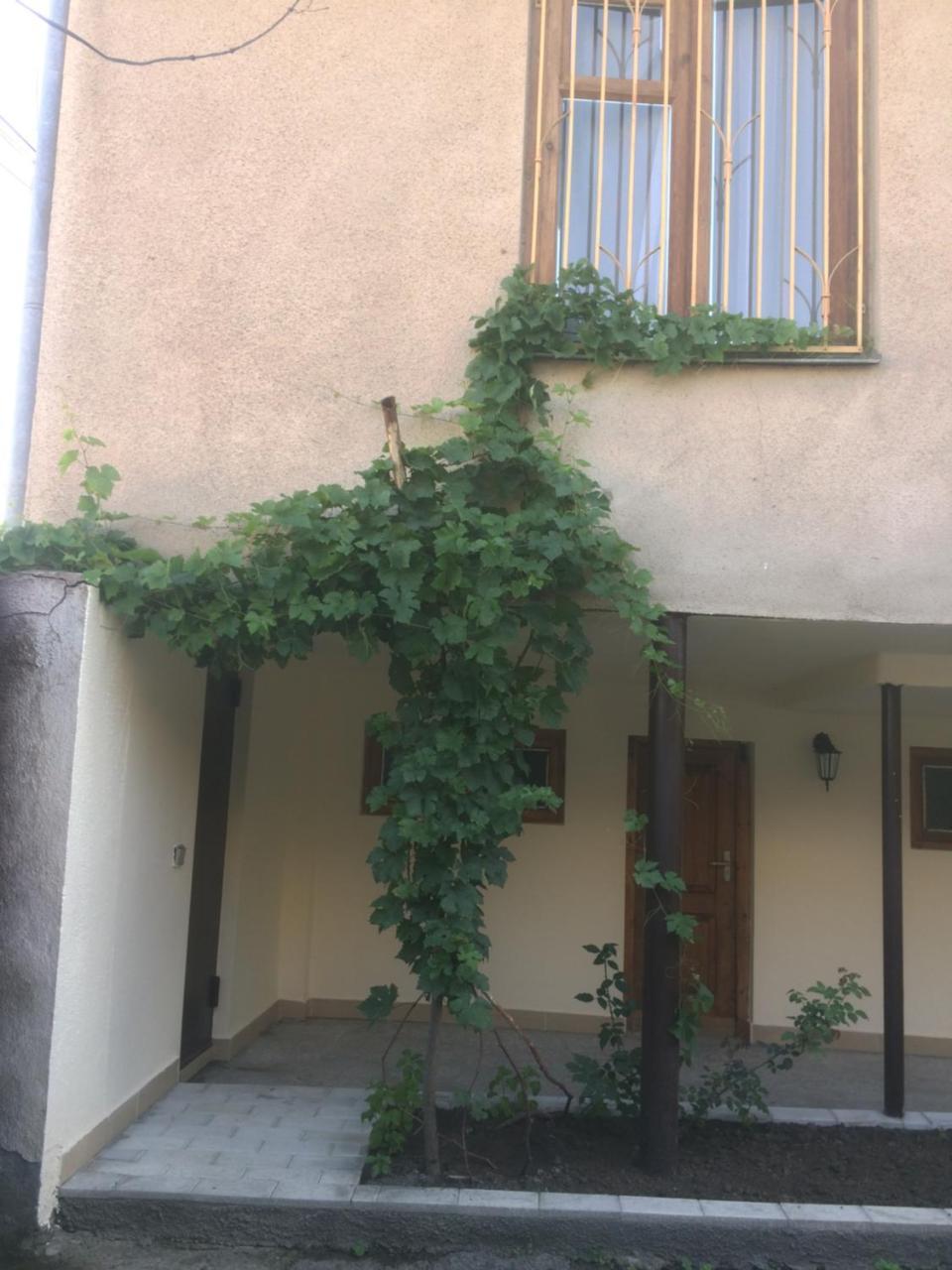 Guest House Kartuli Suli Telavi Exteriör bild